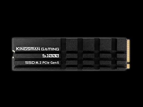 AITC KINGSMAN S1000 2TB M.2 2280 PCIe Gen5x4 NVMe 2.0 SSD With DRAM & Heatshink